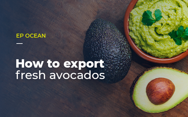 How to export fresh avocados