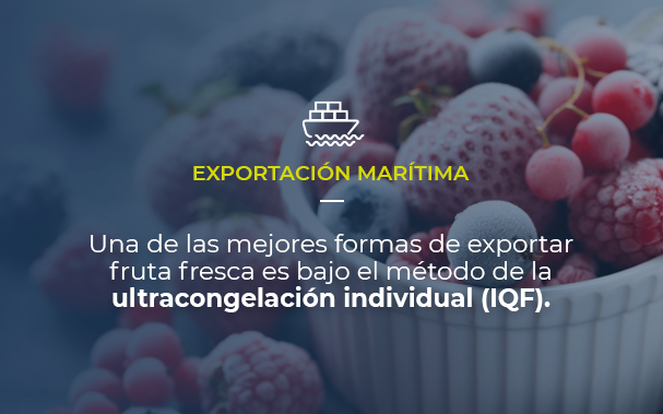 Sobre una foto con un bello tazón de frutos rojos congelados, mostramos que el artículo trata de exportación marítima y que una de las mejores formas de exportar fruta fresca es utilizando el método de la ultracongelación individual (IQF)
